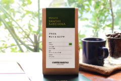 ブラジル サントス モジアナ