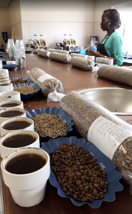 自家焙煎コーヒー豆】ウガンダ ドンキー ナチュラル | コーヒーマート63