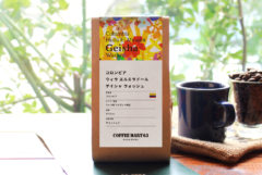 コロンビア ウィラ エルミラドール ゲイシャ ウォッシュ