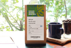 ガテマラ サンディエゴ・ブエナビスタ