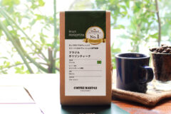 ブラジル ホリゾンティーナ