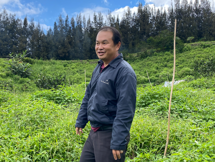 インドネシア シマレン農園