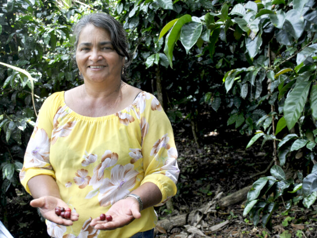 コロンビア アスムカフェ フロリアーダ スプレモ
